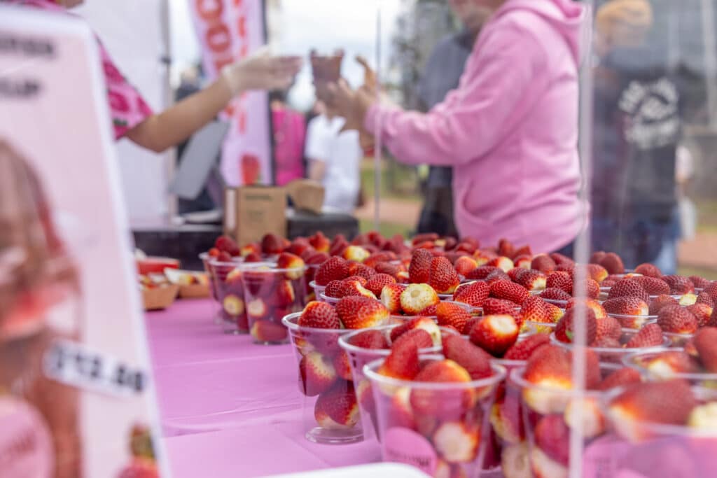 Childers Festival plan