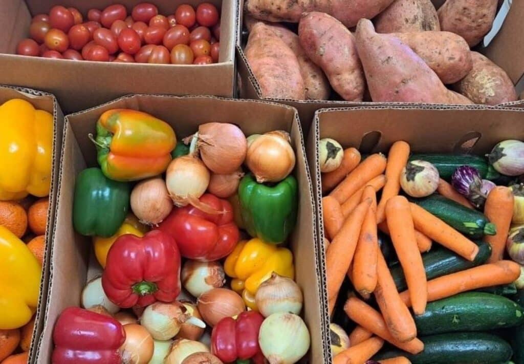 Learn tips and tricks to healthy eating on a budget with the Forgotten Foods to Fabulous Feasts program available in Childers and Gin Gin.
