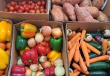 Learn tips and tricks to healthy eating on a budget with the Forgotten Foods to Fabulous Feasts program available in Childers and Gin Gin.