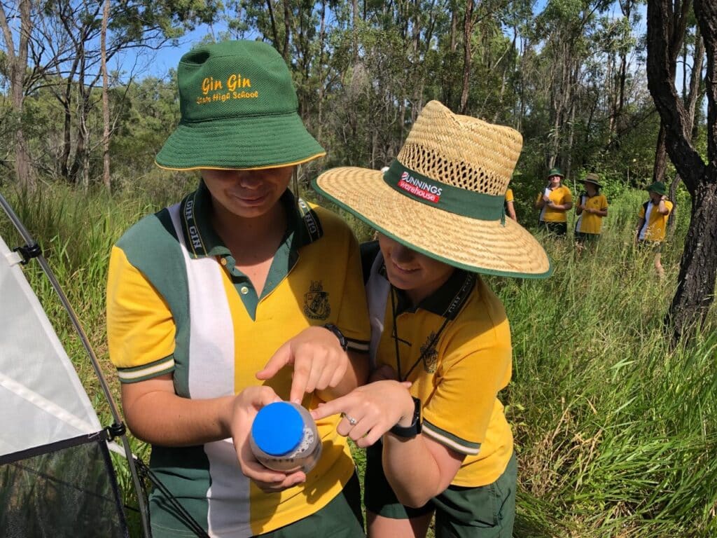 Students at Gin Gin SHS have officially been listed as the discoverers of a brand new species of wasp (Cotesia ginginensis).