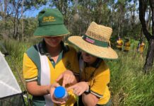 Students at Gin Gin SHS have officially been listed as the discoverers of a brand new species of wasp (Cotesia ginginensis).