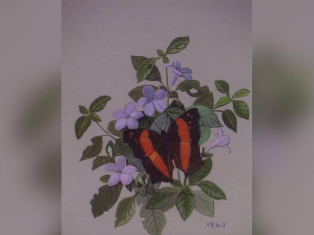 gallery artwork collection