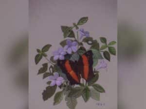gallery artwork collection
