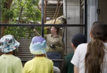 Come along to a free Keeper Talk at Alexander Park Zoo – one of Queensland’s oldest continuously operating zoos.