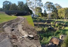Washpool Creek Naturalisation project