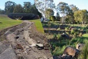 Washpool Creek Naturalisation project