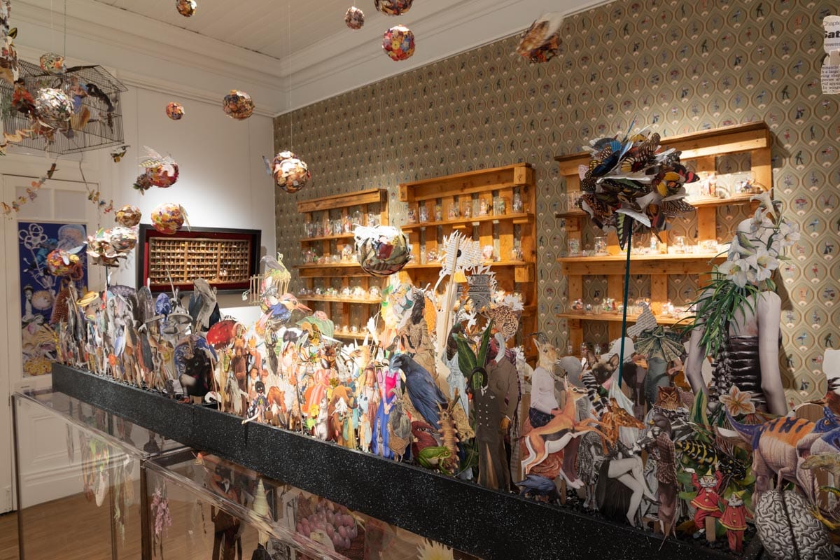 Celebrate local arts at the RADF Showcase