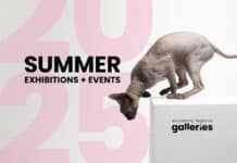 Galleries Summer Program out now! Galleries summer program