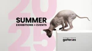 Galleries summer program