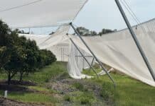 Farmers urged to share wild weather experiences