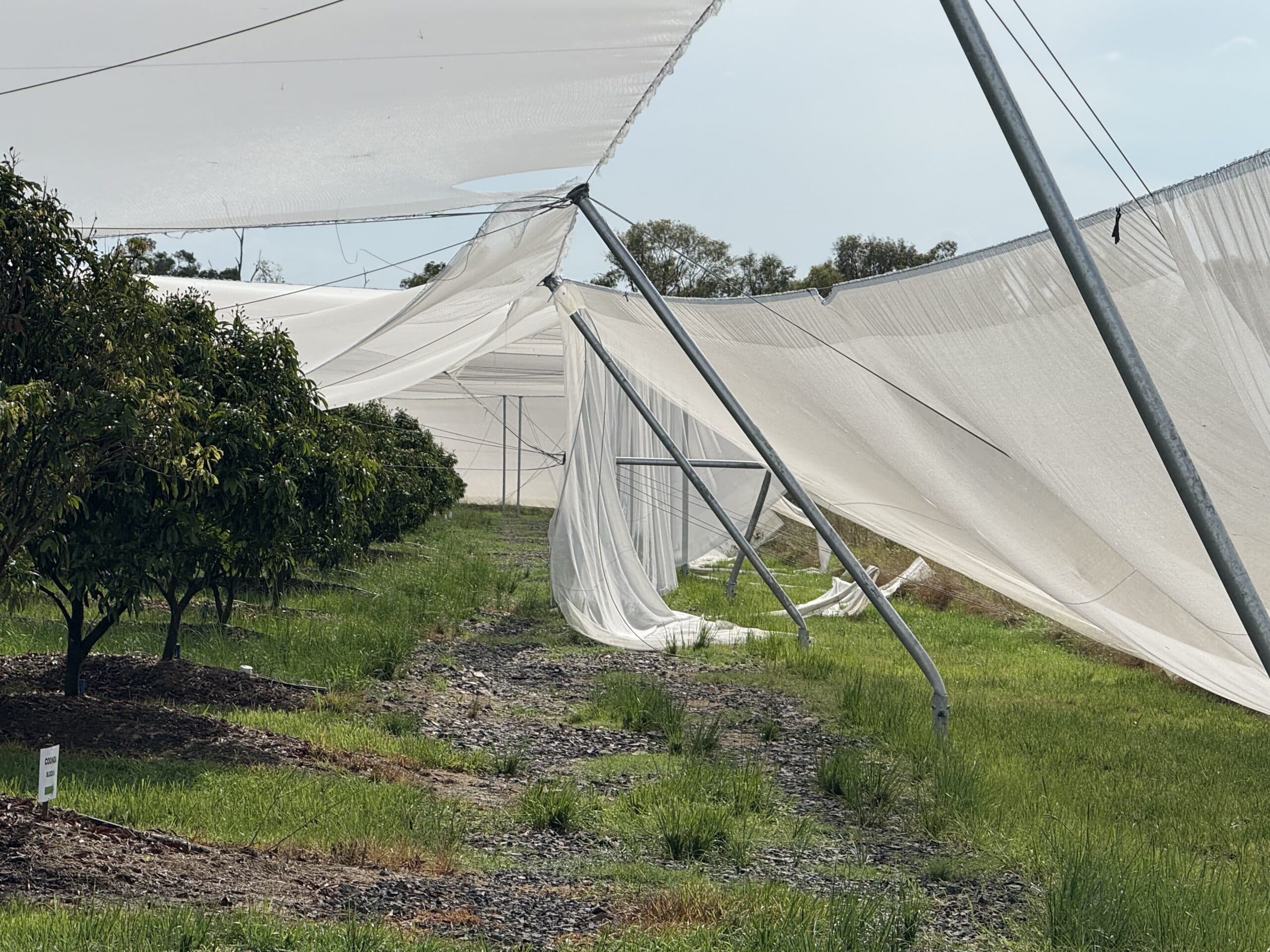 Farmers urged to share wild weather experiences