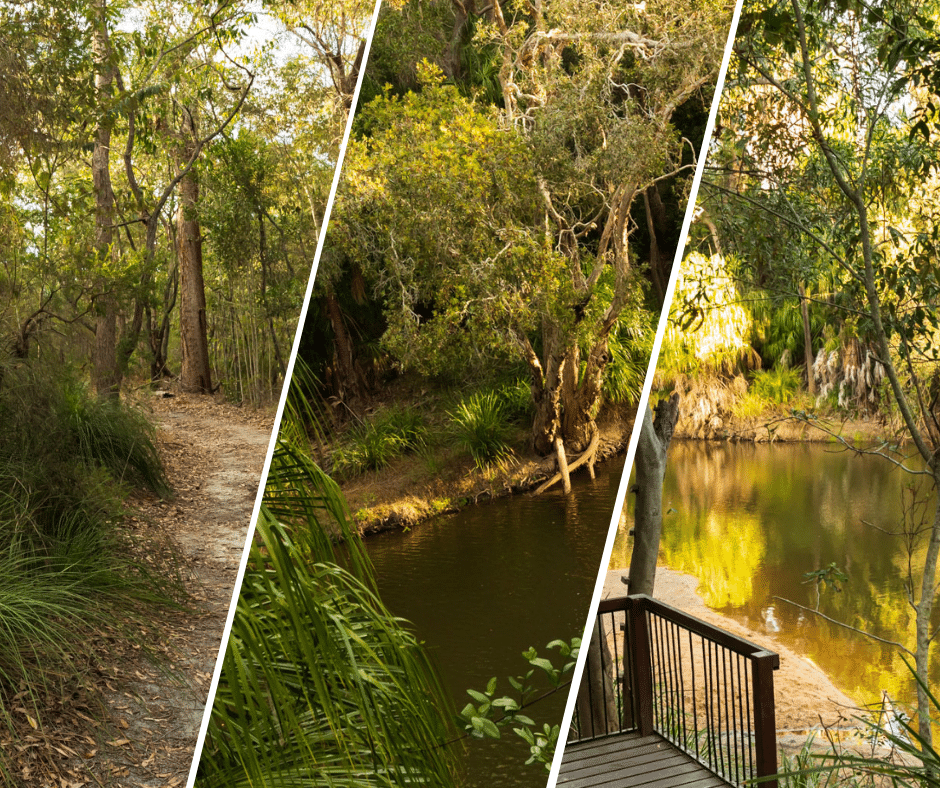 The Meadowvale Environmental Reserve