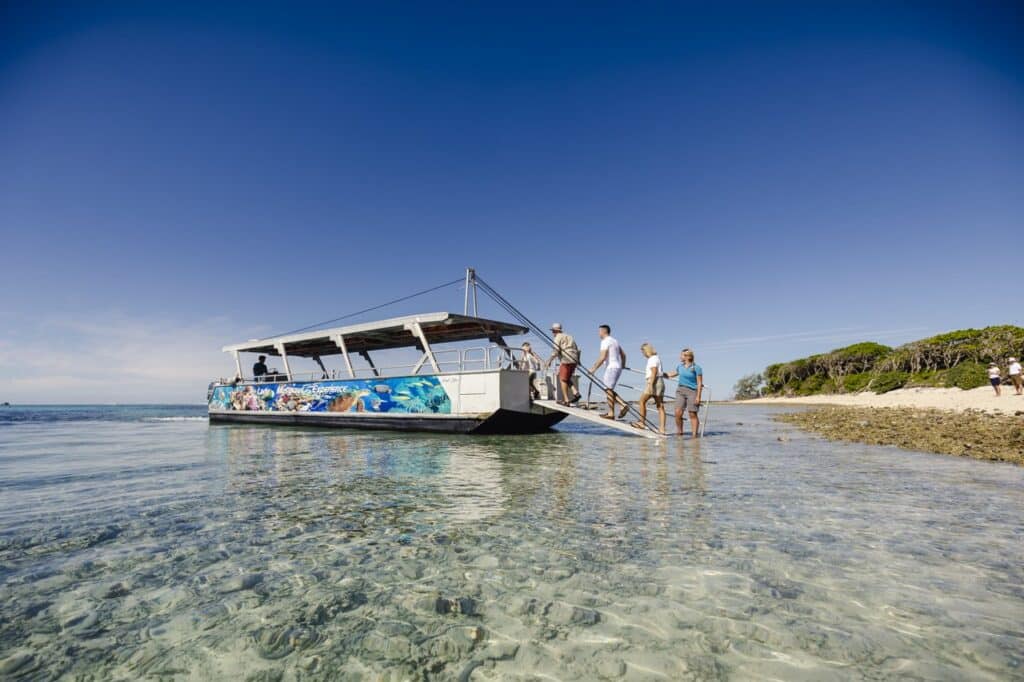 Lady Musgrave Experience