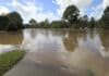 Flood recovery FAQ: where can I find insurance advice after floods? 20260312 Bundaberg Flood - Bundaberg North