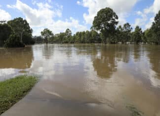 Flood recovery FAQ: where can I find insurance advice after floods? 20260312 Bundaberg Flood - Bundaberg North