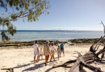 Lady Musgrave Experience