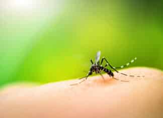 Vector control floods