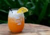 2025 Gin Night Taste Bundaberg Festival. Photo credit to Paul Beutel.