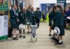 Bundaberg Careers Expo 2026