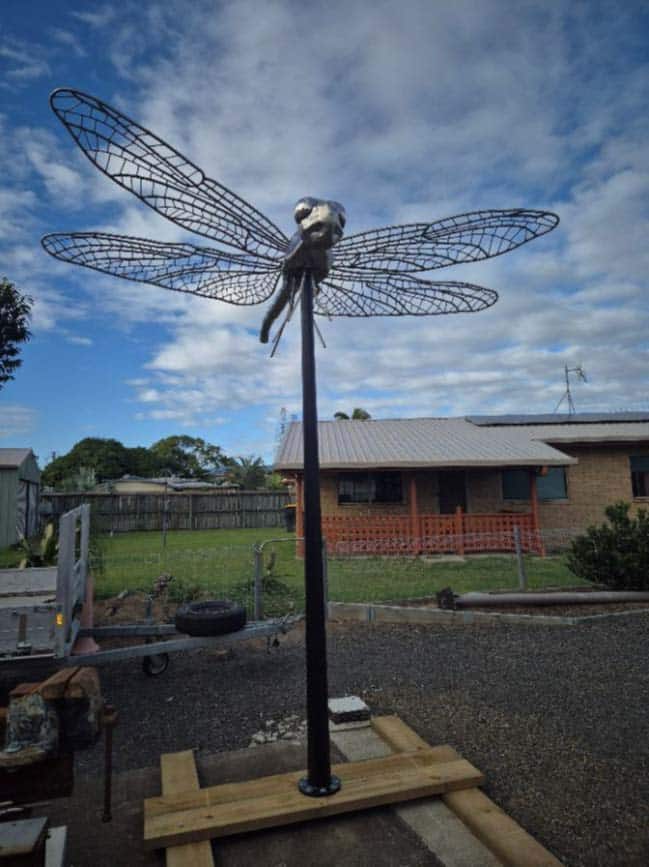 public art Innes Park dragonfly