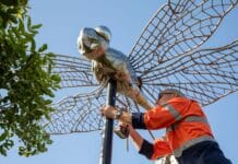 Public art soars at Bargara Headlands Estate Kevin Dekker public art dragonfly