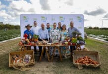 Taste returns to celebrate region’s food bowl