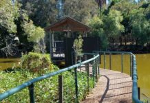 Moore Park Beach boardwalk work begins