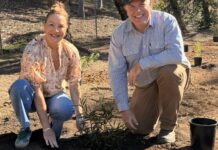 Council, CQUni branch out for National Tree Day