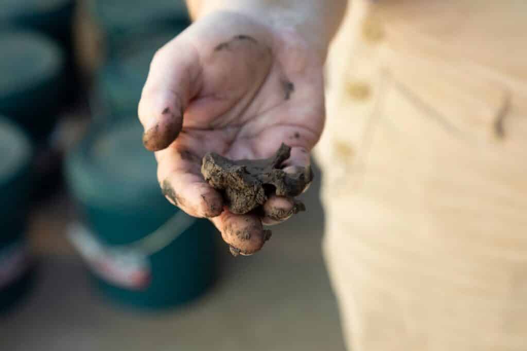 Anita Goldspink wild clay