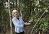 Maureen Schmitt at the area known as Gympie Estate with Wedge-leaved Tuckeroo tree.