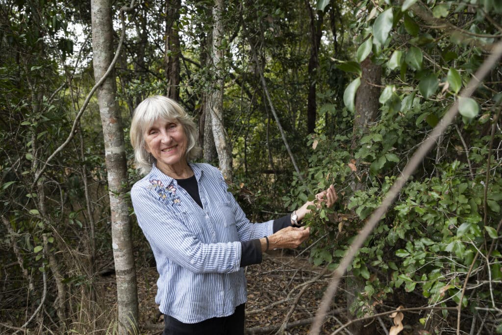 Maureen Schmitt at the area known as Gympie Estate
with Wedge-leaved Tuckeroo tree.