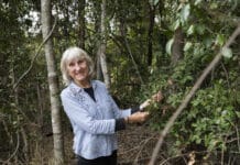 Maureen Schmitt at the area known as Gympie Estate with Wedge-leaved Tuckeroo tree.