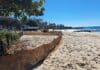 Revegetation to strengthen foreshore