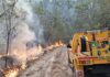 Early season activity sign to be bushfire prepared