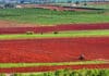 Council backs farmers’ “Check the Science” campaign The Check the Science campaign is calling for a Queensland Productivity Commission (QPC) review of the science behind major policy decisions that are impacting the industries of farming, fisheries and forestry.
