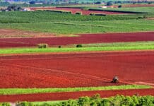 The Check the Science campaign is calling for a Queensland Productivity Commission (QPC) review of the science behind major policy decisions that are impacting the industries of farming, fisheries and forestry.