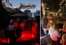 After-dark adventure comes to Alexandra Park Zoo