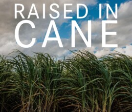 bundaberg regional art gallery new exhibition raised in cane kyle schneider